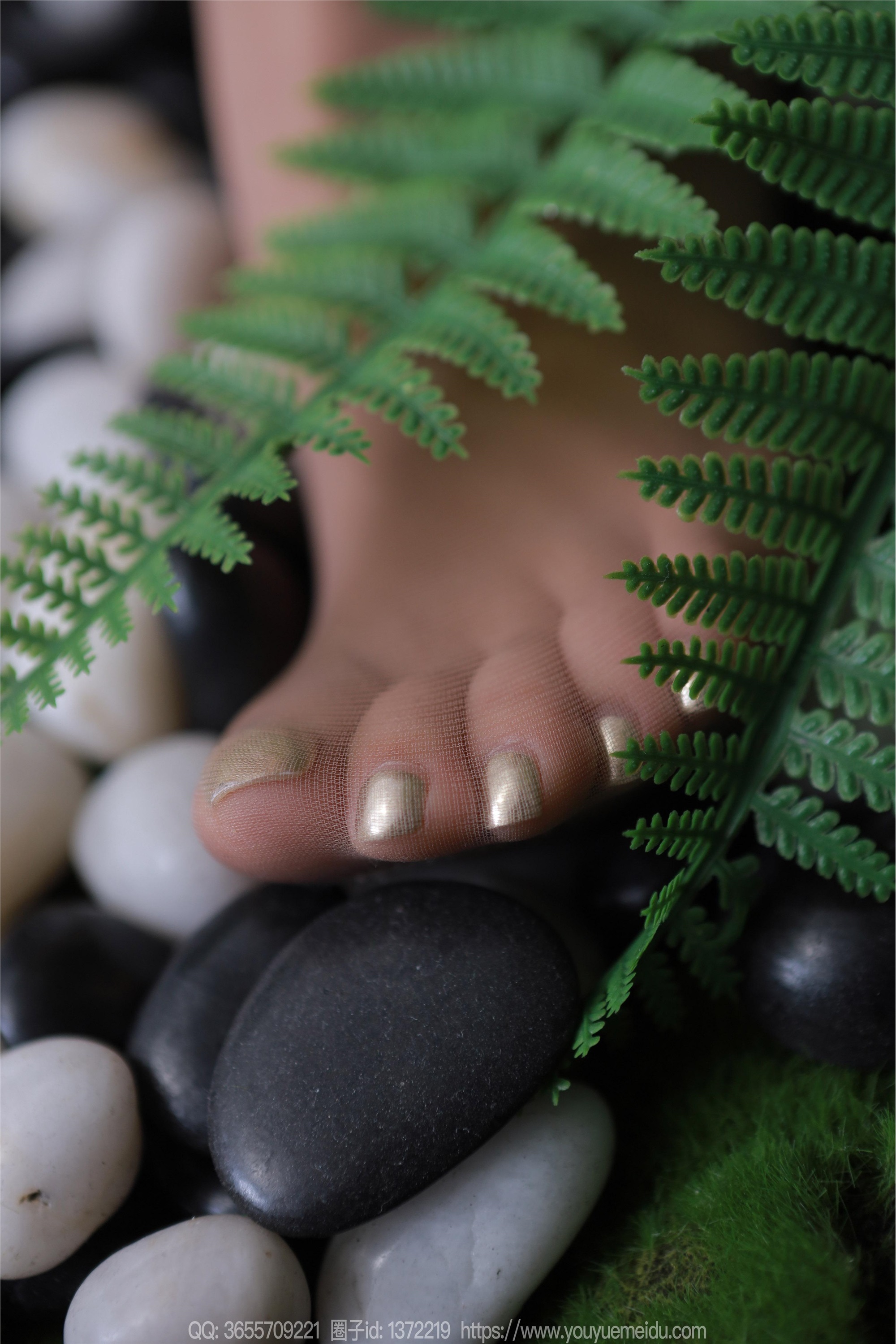 IESS异思趣向  2024.04.16 丝享家 1717 婉萍《绿野仙踪》